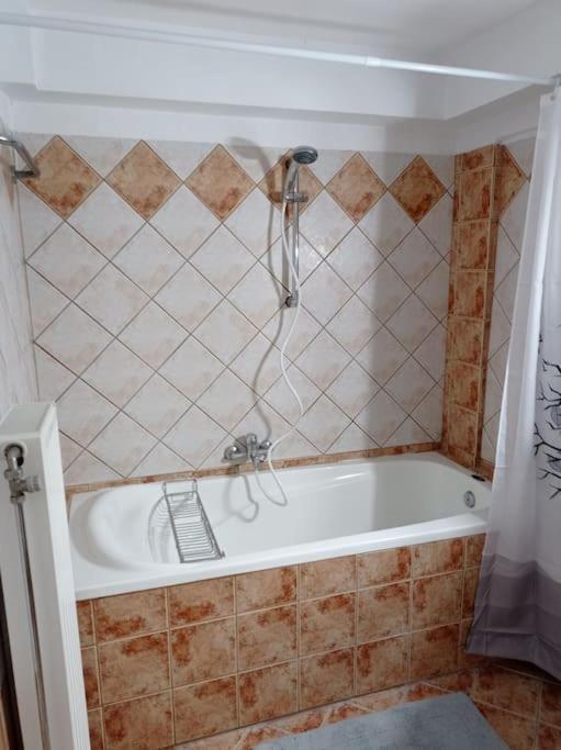 Apartamento Alex House *